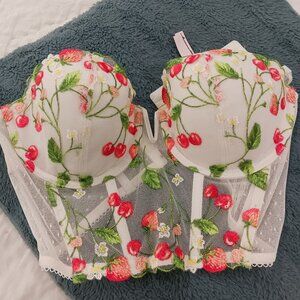 VICTORIA'S SECRET Strawberry Bustier Corset Top 34C